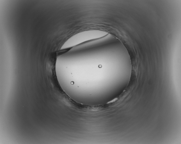 X0000115510235200911131347