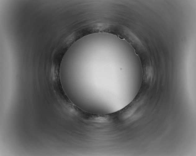 X0000115510236200911131347