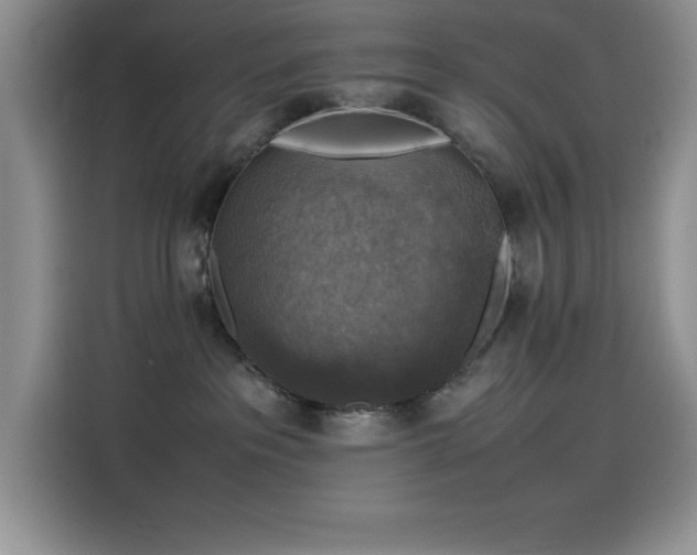 X0000115510237200911131347