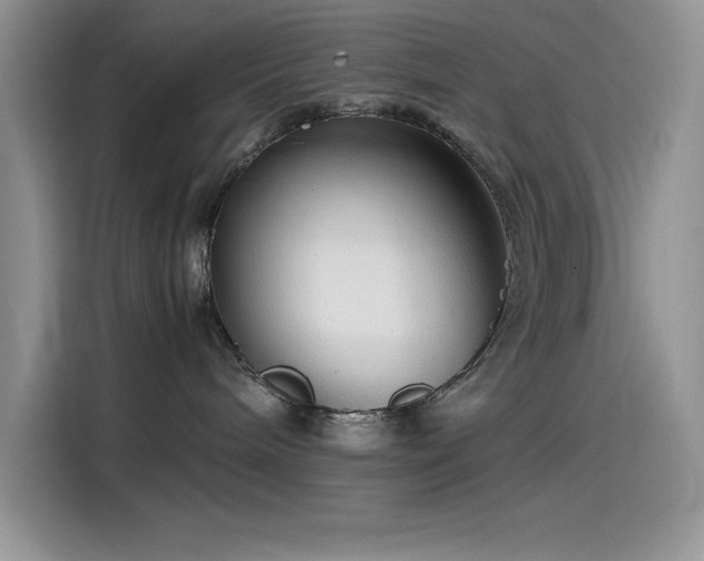 X0000115510240200911131347