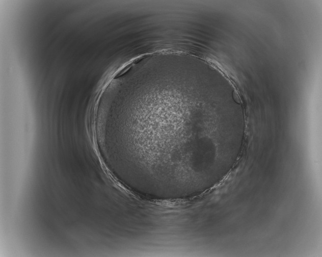 X0000115510241200911131346