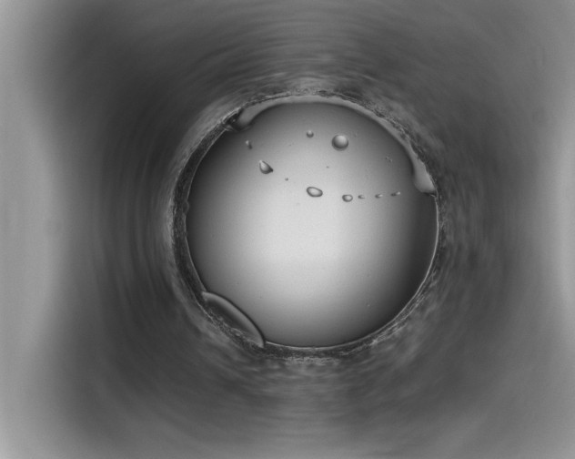 X0000115510242200911131346