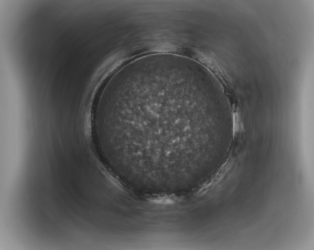 X0000115510243200911131346