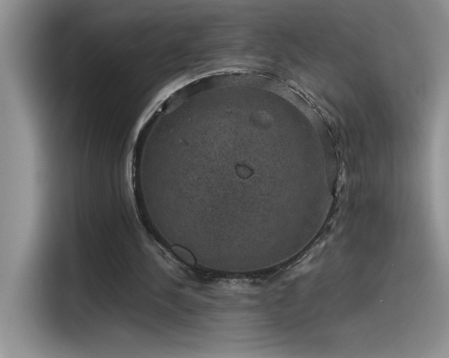 X0000115510244200911131346