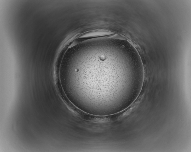 X0000115510245200911131346