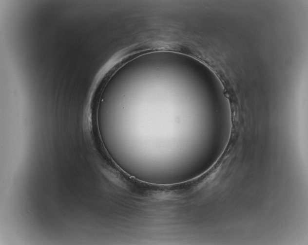 X0000115510246200911131346