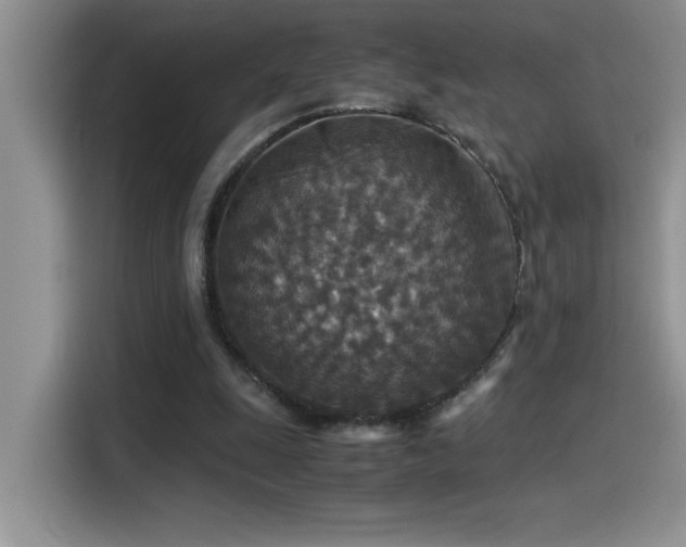 X0000115510247200911131346