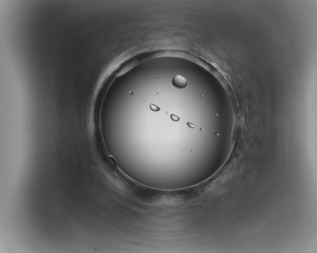 X0000115510248200911131346