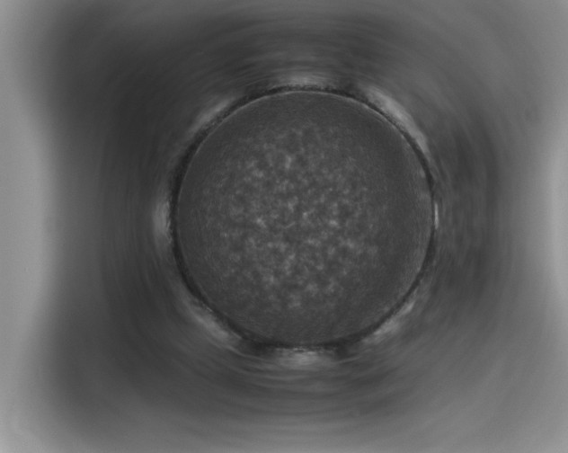 X0000115510249200911131346