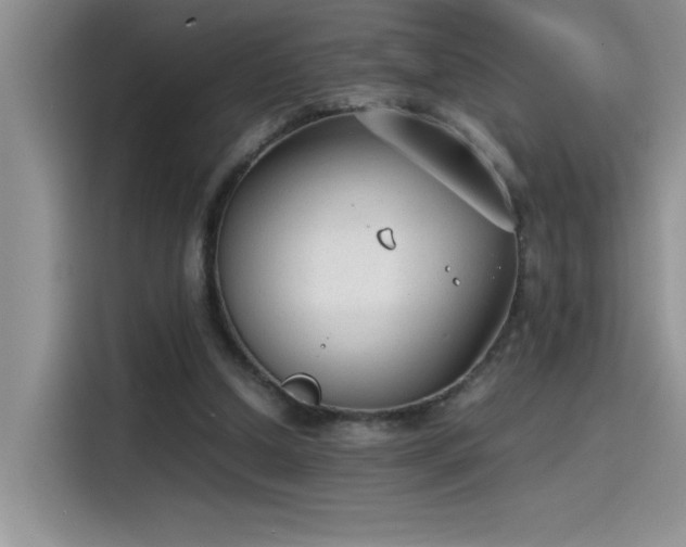 X0000115510250200911131346