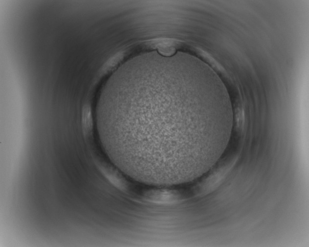 X0000115510254200911131347