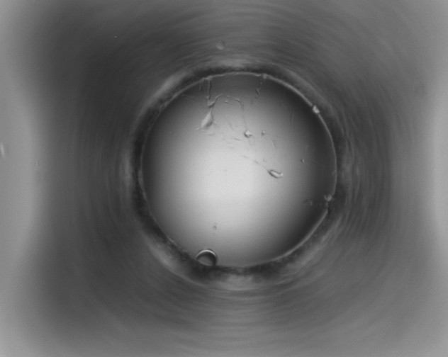 X0000115510256200911131347