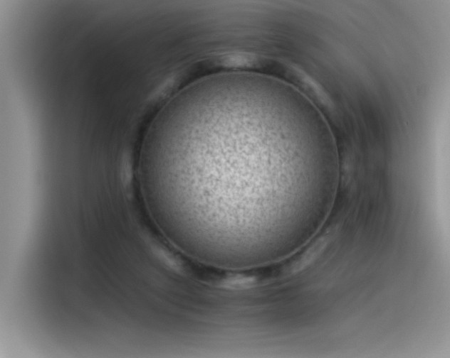 X0000115510257200911131347