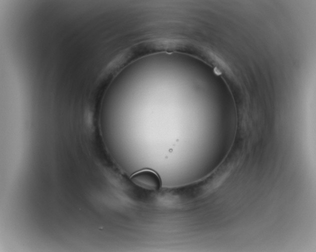 X0000115510258200911131347