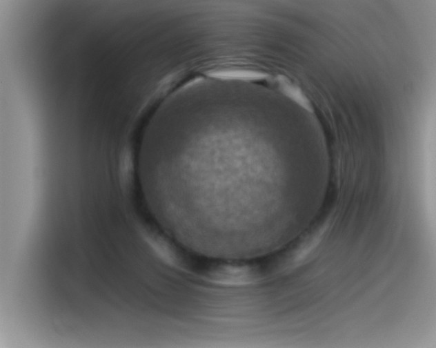 X0000115510260200911131347