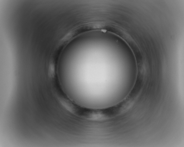 X0000115510262200911131347