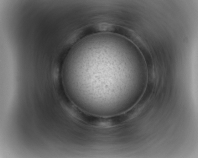 X0000115510263200911131347