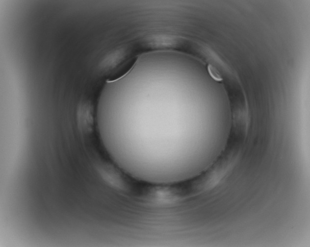 X0000115510264200911131347