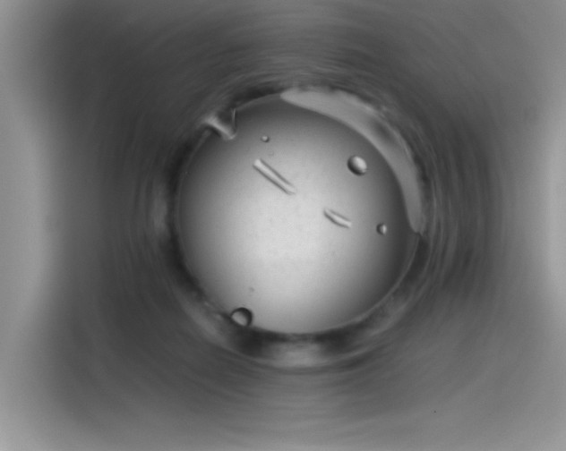 X0000115510266200911131347