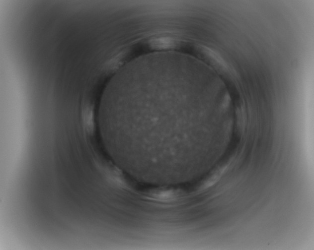 X0000115510267200911131347