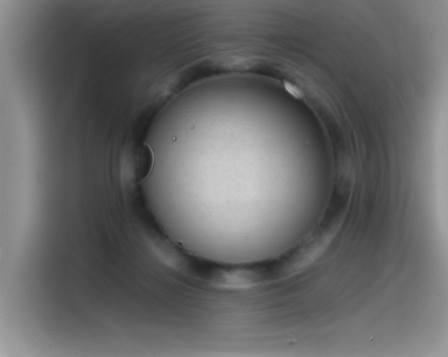 X0000115510268200911131347