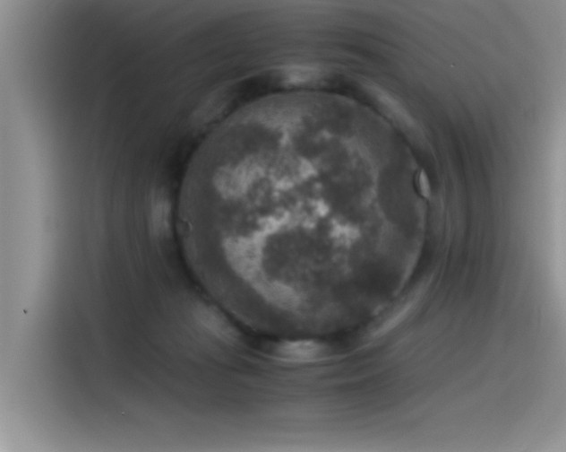 X0000115510269200911131347