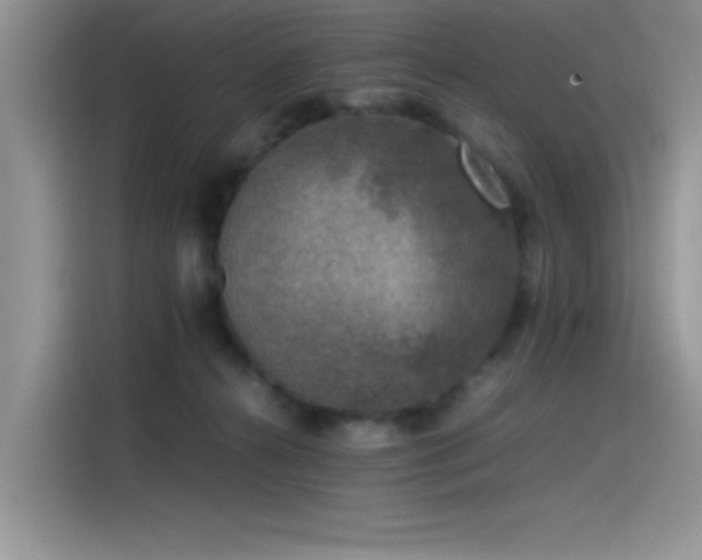 X0000115510272200911131347