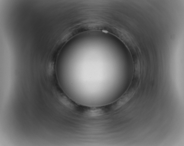 X0000115510278200911131347