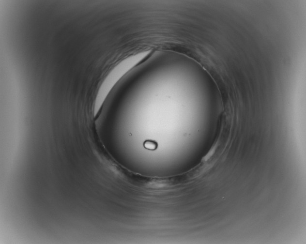 X0000115510280200911131347