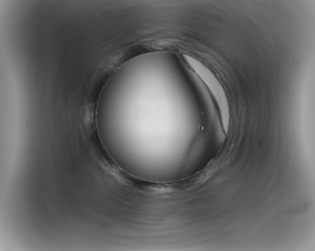 X0000115510284200911131347