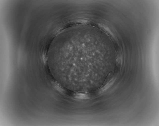 X0000115510285200911131347