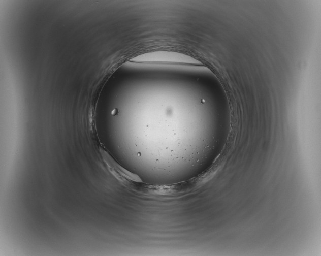 X0000115510288200911131347