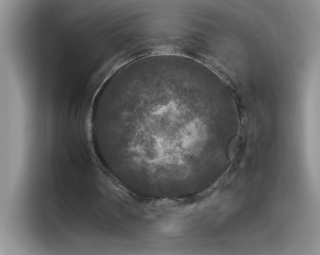 X0000115510290200911131346