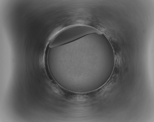 X0000115510292200911131346