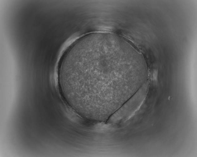 X0000115510294200911131346