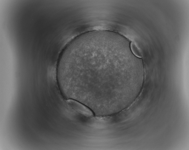 X0000115510297200911131346