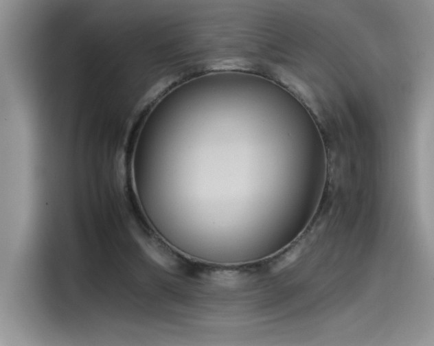 X0000115510298200911131346