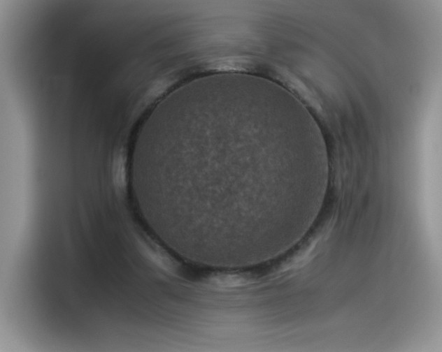 X0000115510299200911131346