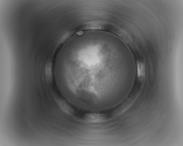 X0000115510300200911131346