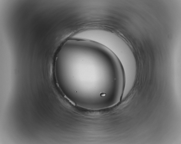 X0000115510301200911131346