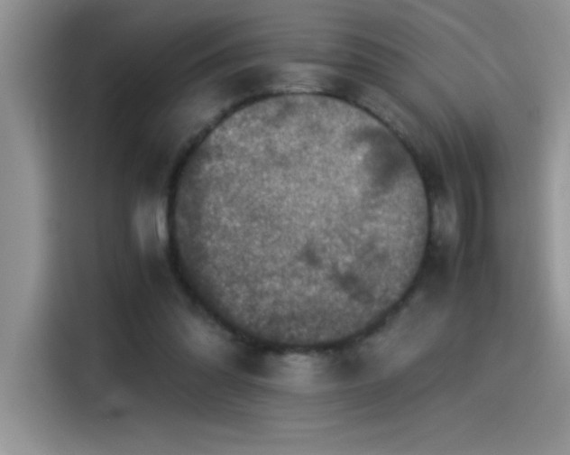 X0000115510302200911131346