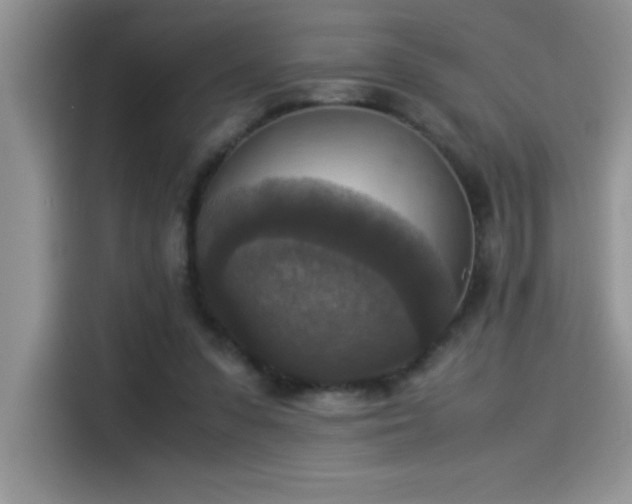 X0000115510303200911131346