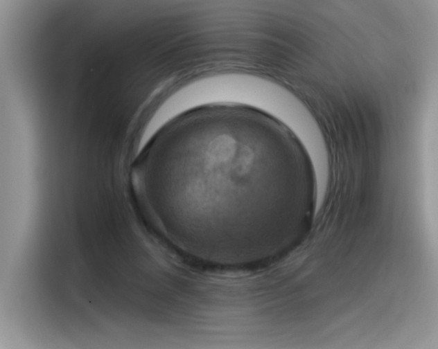 X0000115510304200911131346