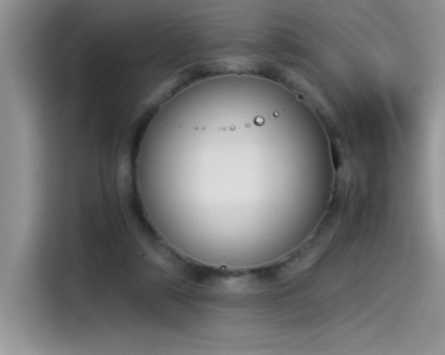 X0000115510306200911131346