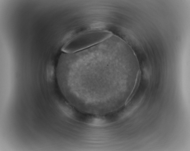 X0000115510308200911131346