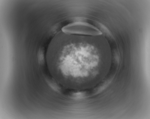 X0000115510312200911131346