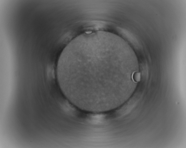 X0000115510313200911131346