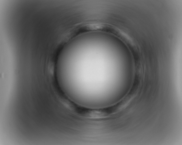 X0000115510315200911131346