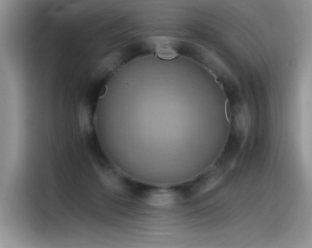 X0000115510316200911131346