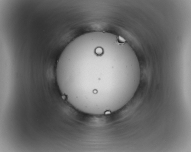 X0000115510317200911131346